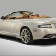image Aston-DB9-Q-paard-003.jpg