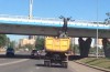 Quiz: does this animal under that overpass?