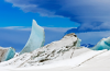 The Impacts of Climate Change Will Be Felt For 10,000 Years, Chilling Study Finds