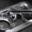 image Equus-Bass-770-15.jpg