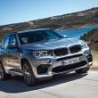 image BMW-X5M-2015-0023.jpg