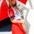 image motogp-babes-girls-2014-005.jpg