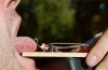 Do Not Watch This Slo-Mo Video of a Dude Sticking His Tongue in a Mouse Trap