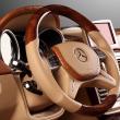 image Mercedes-G65AMG-TOPCAR-03.jpg