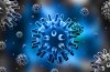 Scientists accidentally discovered a effective cure for herpes