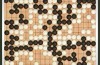 Google ‘ s AlphaGo Thrashes Gå Master