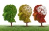 Vad händer med minnen i Alzheimers sjukdom