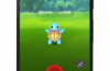 Die Entwickler haben die Details über das Handy-Spiel Pokemon Go