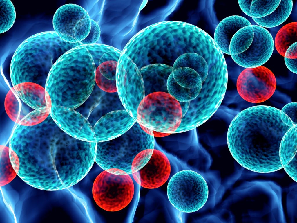 Острый лимфобластный лейкоз