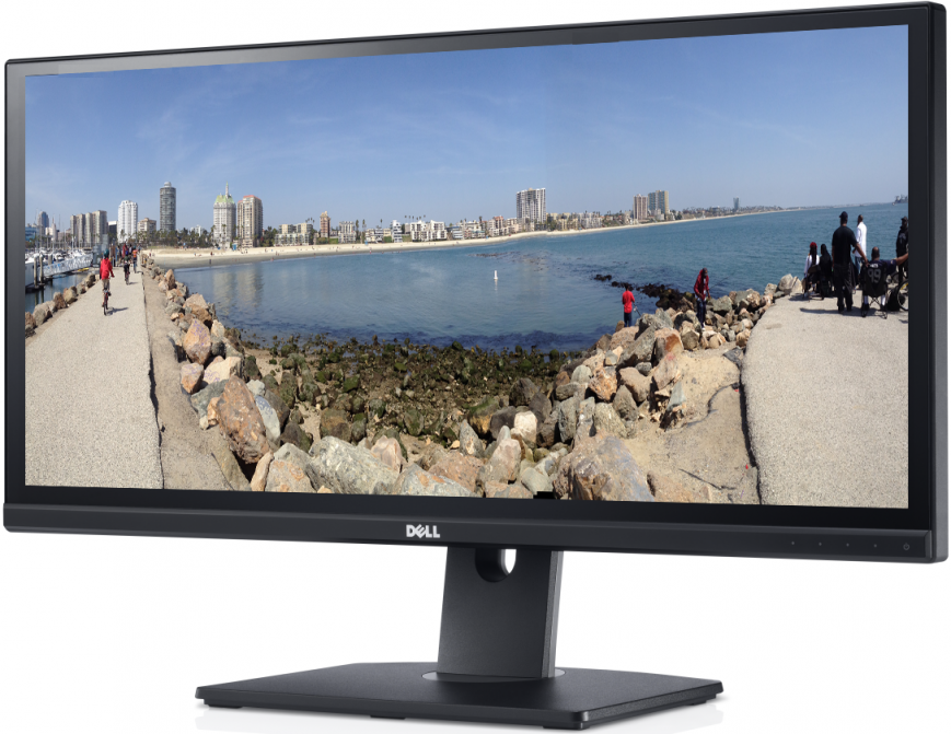 DELL U2913WM