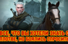 Zu “Ведьмаку 3: Wild Hunt” erscheint neben “Plötze”