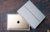 IDC: in Russland stiegen die Verkäufe der Mac beim Allgemeinen Rückgang im PC-Markt
