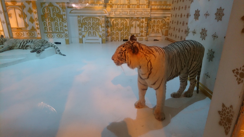 sony_xperia_x_closeupsample_ndtv.JPG