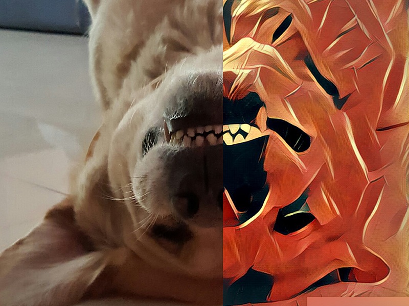 prisma_bingo.jpg