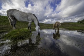 Тестовые снимки Venus Laowa 12mm f/2.8 ZERO-D