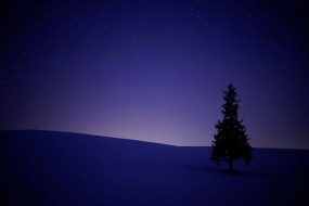 Тестовые снимки Sony Planar T* FE 50mm F1.4 ZA