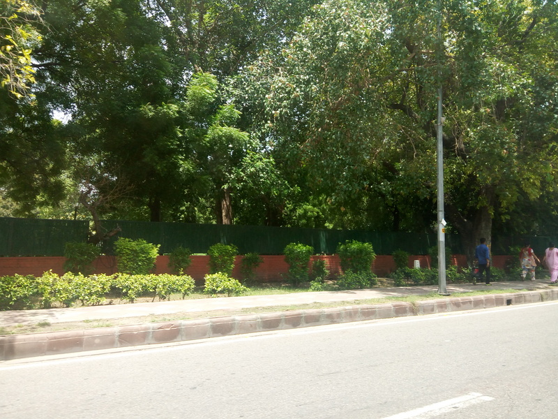 gionee_marathon_m5_plus_camera_sample_day.jpg
