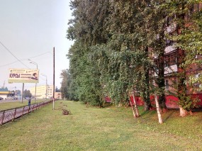 Пример фото, снятых на тыловую камеру Honor 5A