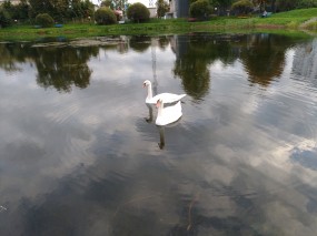 Пример фото, снятых на тыловую камеру ASUS ZenFone 3