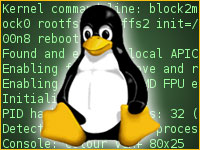 Torvalds Releases Hefty Linux Kernel Update