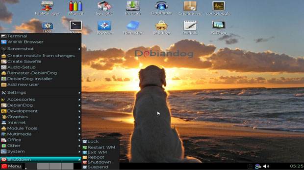 DebianDog JWN
desktop